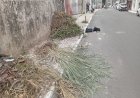 Romeiros enfrentam descaso e sujeira em Candeias